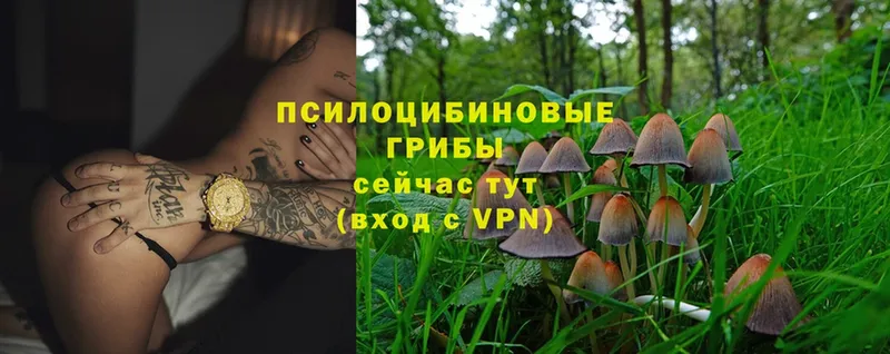 Галлюциногенные грибы MAGIC MUSHROOMS  Каменск-Уральский 